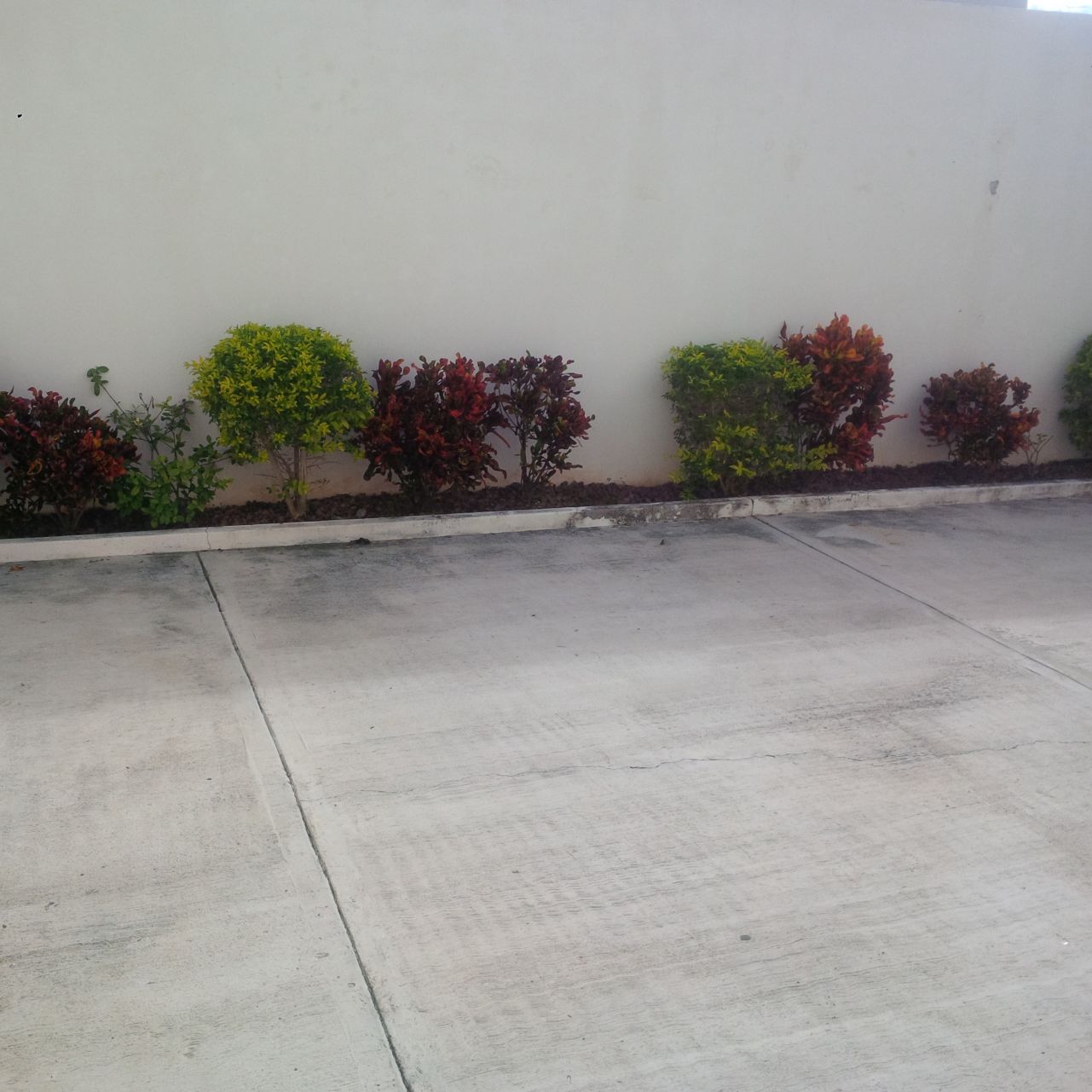 1408da40-7f9b-4f1e-9171-d90acabba658