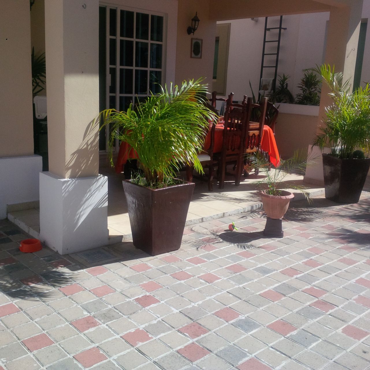 5b5d5d01-fa21-48af-a028-df89ffd83a0c